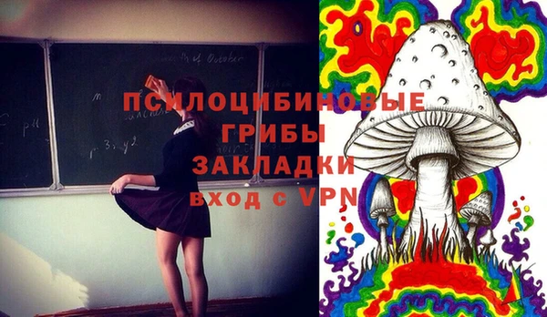 ECSTASY Гусь-Хрустальный