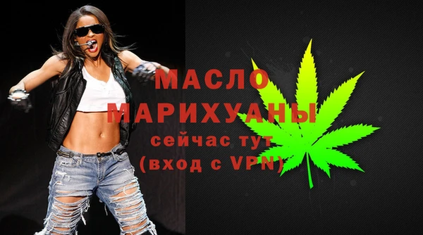 ECSTASY Гусь-Хрустальный