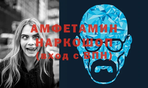ECSTASY Гусь-Хрустальный