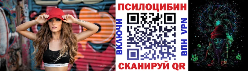 Галлюциногенные грибы мицелий  купить наркотик  Нязепетровск 